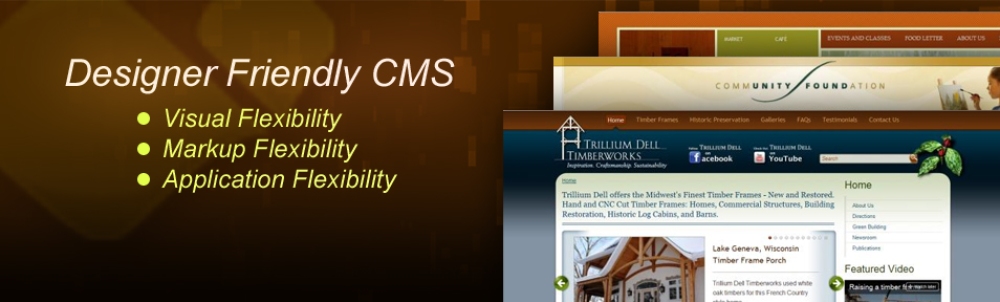 Designer Friendly CMS: Visual Flexibility, Markup Flexibility, Application Flexibility