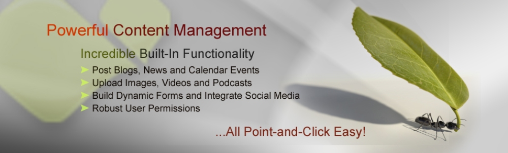 Powerful Content Management All Point-and-Click Easy!